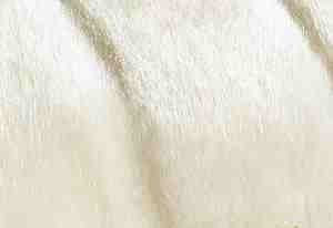 White  FAUX Mink  Wrap Shawl #SH601